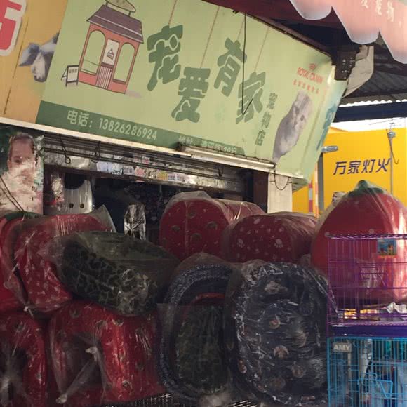 宠爱有家宠物店:广州市荔湾区上下九商业区附近