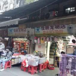 佳丽宠物店:广州市荔湾区上下九商业区附近