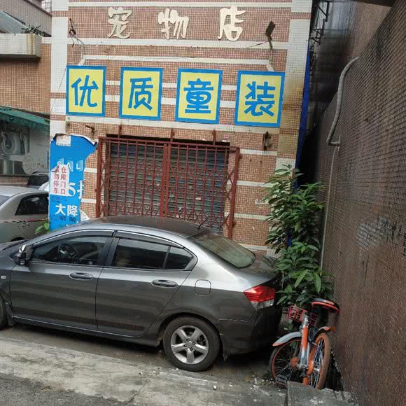On Dog Dog宠物店:广州市荔湾区芳村附近