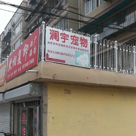 西青 澜宇宠物医院:天津城区西青区凌奥附近