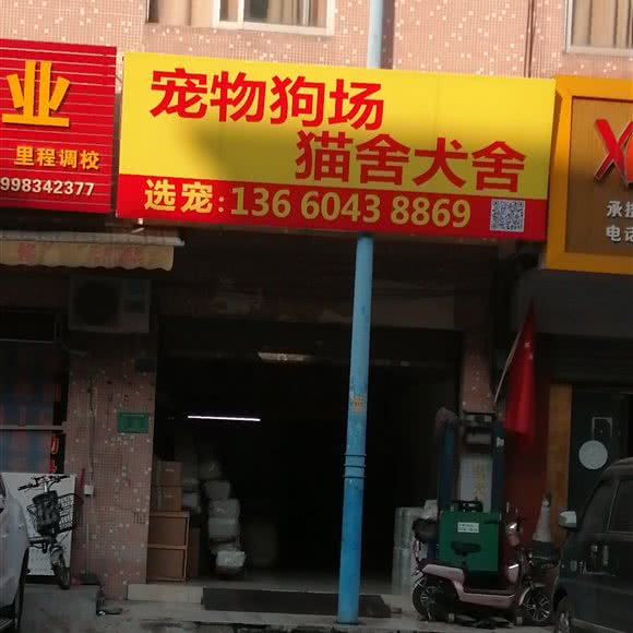 宠物狗场猫舍犬舍:广州市荔湾区芳村附近