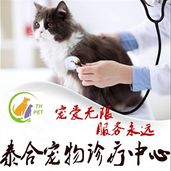 泰合宠物狗诊疗中心:天津城区西青区凌奥附近