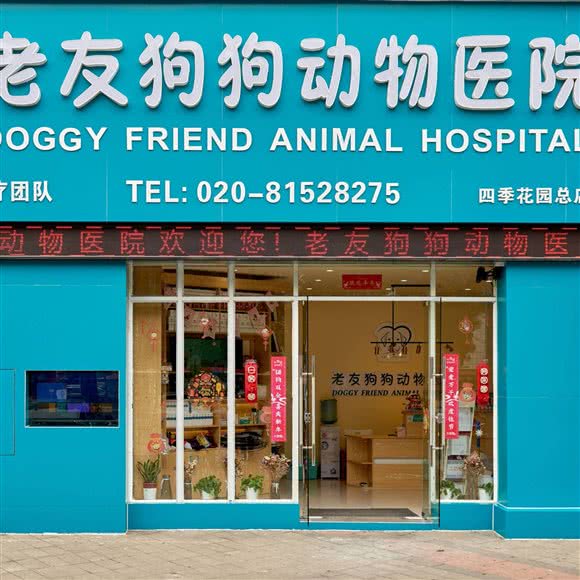 老友宠物狗动物医院:广州市荔湾区芳村附近