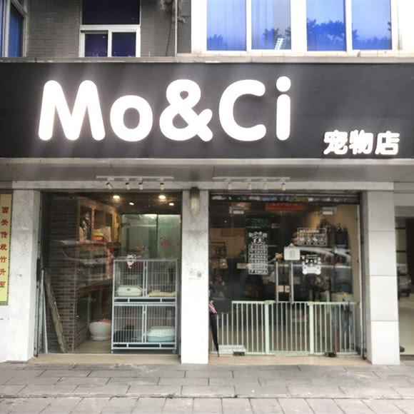 Mo&Ci.宠物店:广州市荔湾区西村/西场附近