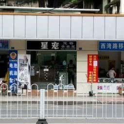 星宠宠物屋:广州市荔湾区西村/西场附近