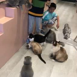 猫儿山反斗乐园:广州市越秀区北京路商业区附近