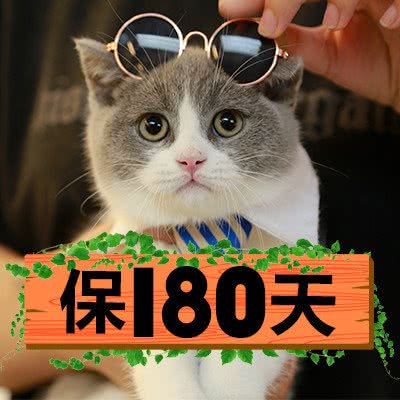 Only Cat 唯有猫名猫馆(北京路光明广场店):广州市越秀区北京路商业区附近
