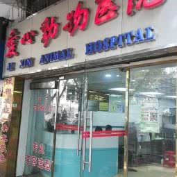 爱心动物医院(德政路店):广州市越秀区北京路商业区附近
