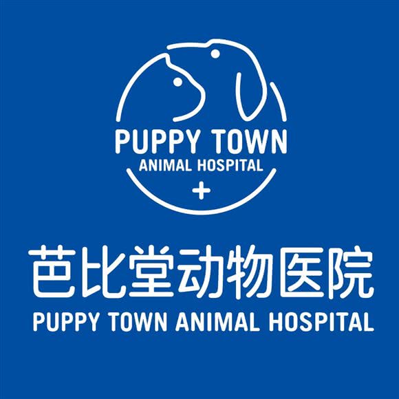 芭比堂动物医院(德政北路分院):广州市越秀区北京路商业区附近