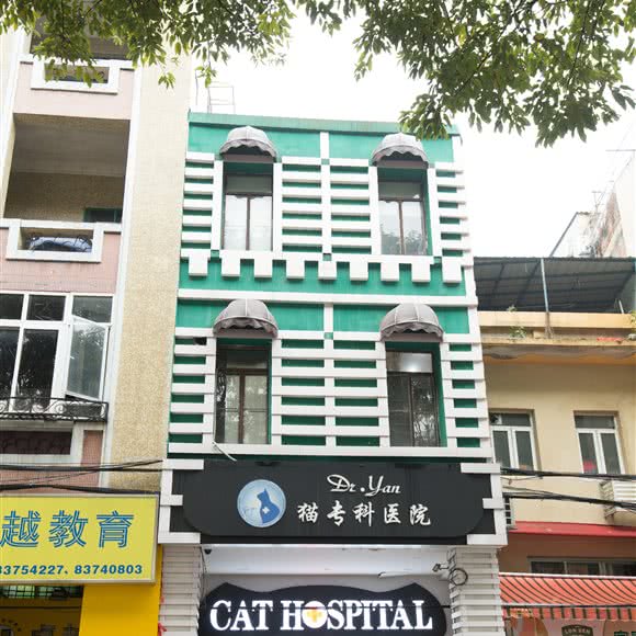 严国平猫专科:广州市越秀区北京路商业区附近