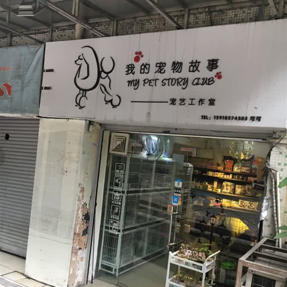 我的宠物故事:广州市越秀区环市东路/区庄附近