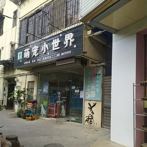 萌宠小世界:广州市越秀区三元里附近