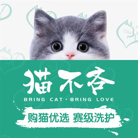 猫不吝·宠舍生活馆(江泰路店):广州市海珠区江南大道沿线附近