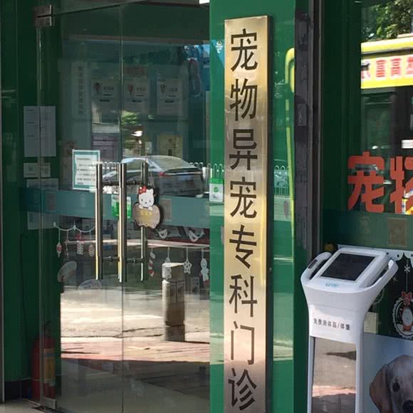 宠物异宠门诊:广州市海珠区江南大道沿线附近