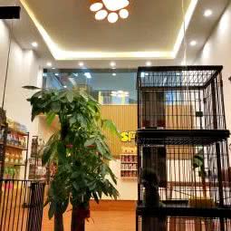 史宾莎宠物美容洗护(鸣翠店):广州市海珠区工业大道沿线附近