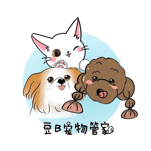 豆B宠物管家:广州市海珠区工业大道沿线附近