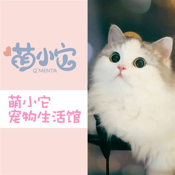 萌小它宠物生活馆:广州市海珠区工业大道沿线附近