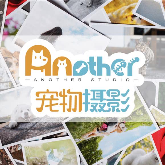 Another·宠物摄影:广州市海珠区工业大道沿线附近