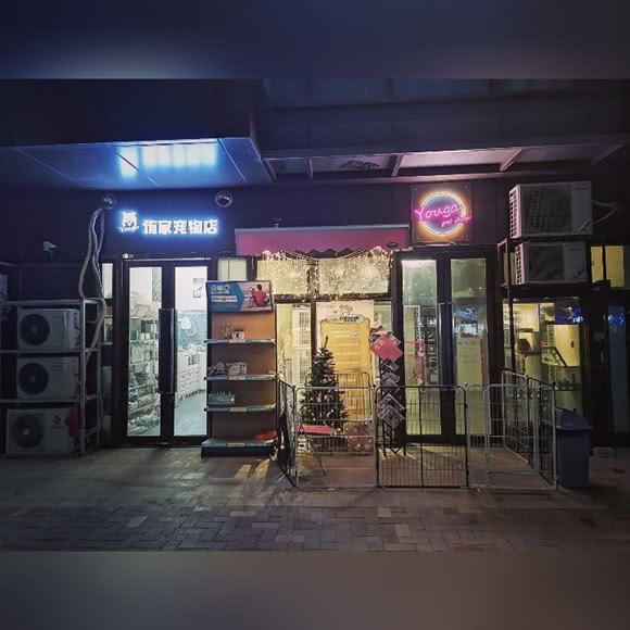 Youga侑家宠物店:广州市海珠区工业大道沿线附近