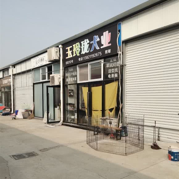 玉玲珑犬业:天津城区西青区梅江会展中心附近