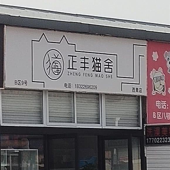 正丰猫舍(西青店):天津城区西青区梅江会展中心附近
