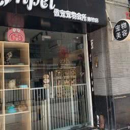 宠出没:广州市海珠区滨江路沿线附近