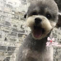 么么宠物主题馆(江景店):广州市海珠区滨江路沿线附近