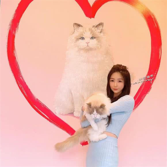 树熊猫咖撸猫馆:广州市海珠区滨江路沿线附近