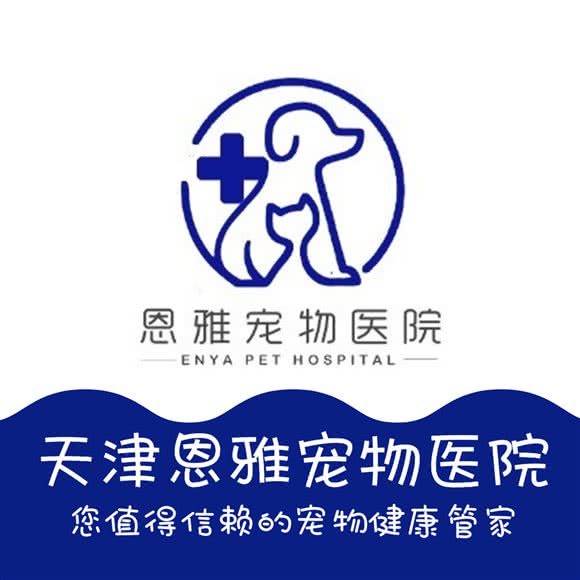 恩雅宠物医院(全运村店):天津城区西青区梅江会展中心附近