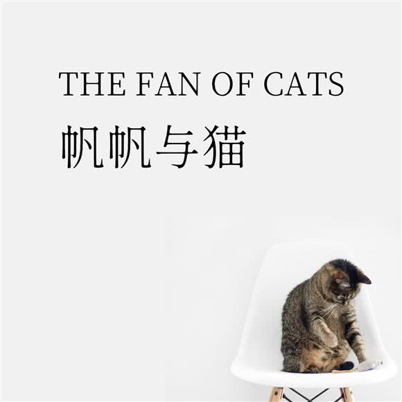 帆帆与猫:广州市海珠区滨江路沿线附近