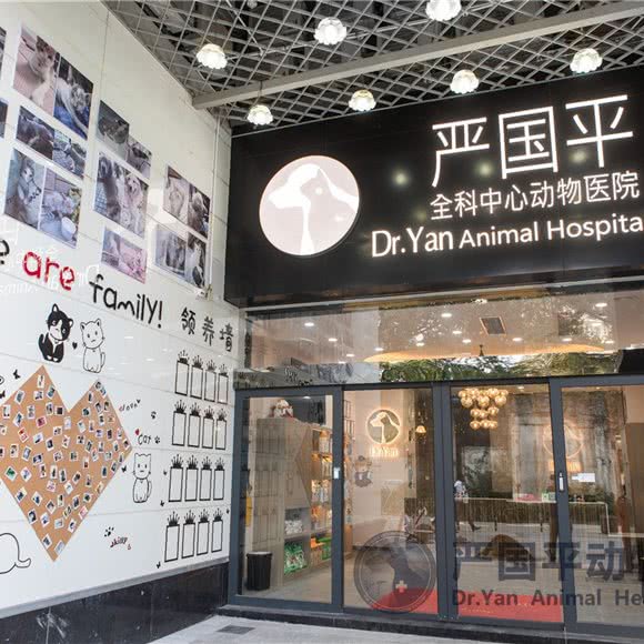 严国平全科中心动物医院(海珠店):广州市海珠区滨江路沿线附近