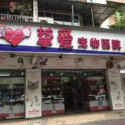 挚爱宠物医院:广州市海珠区滨江路沿线附近