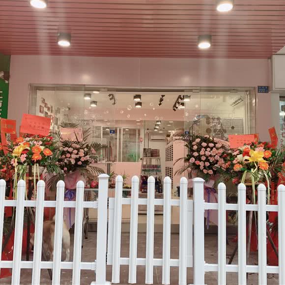 甜心宝贝宠物生活馆:广州市海珠区客村/赤岗附近
