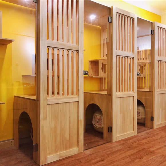 同福猫栈猫咪寄养酒店(赤岗店):广州市海珠区客村/赤岗附近