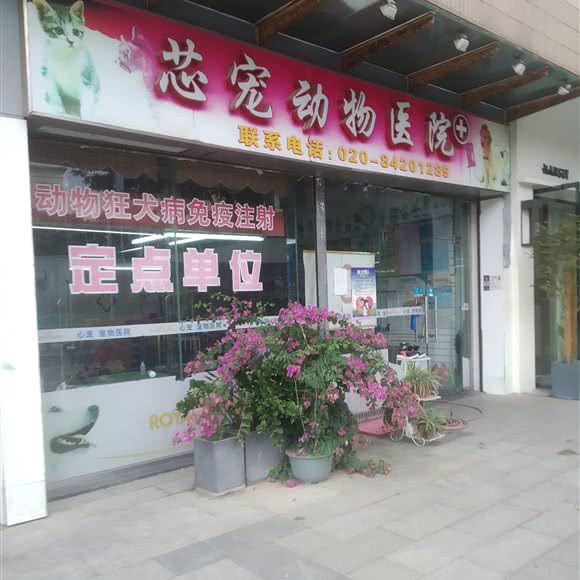 心宠宠物医院(赤岗店):广州市海珠区客村/赤岗附近