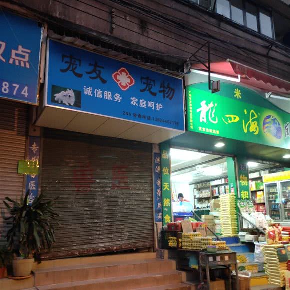 欣宠友动物诊所:广州市海珠区客村/赤岗附近