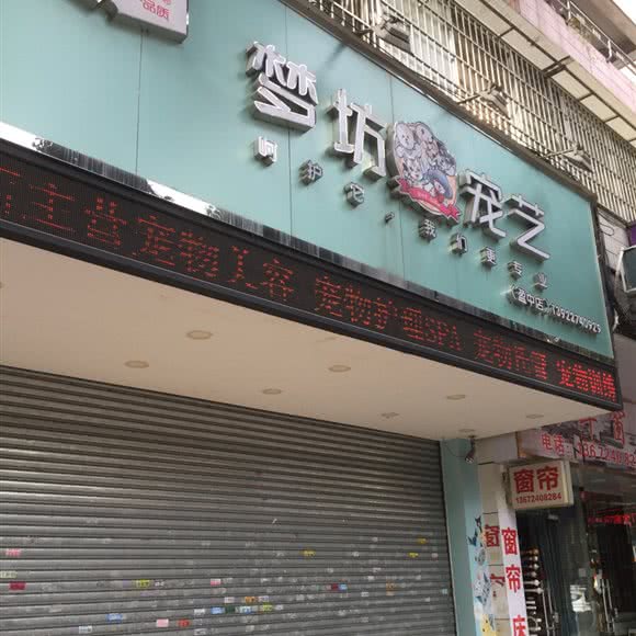 梦坊宠艺(盈中店):广州市海珠区东晓南路沿线附近