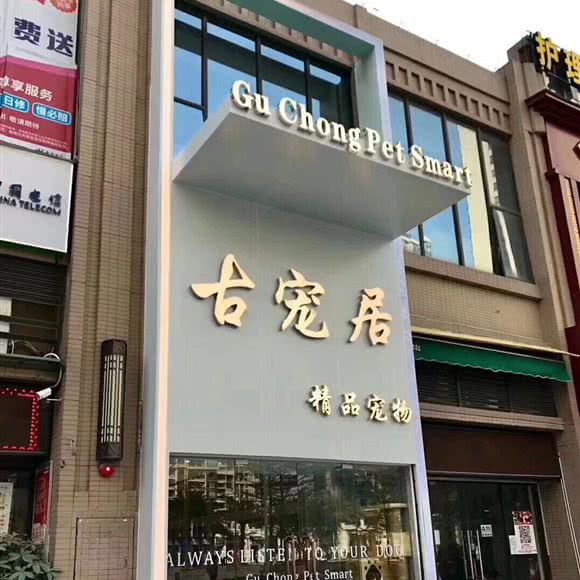 古宠居精品宠物(琶洲店):广州市海珠区琶洲附近