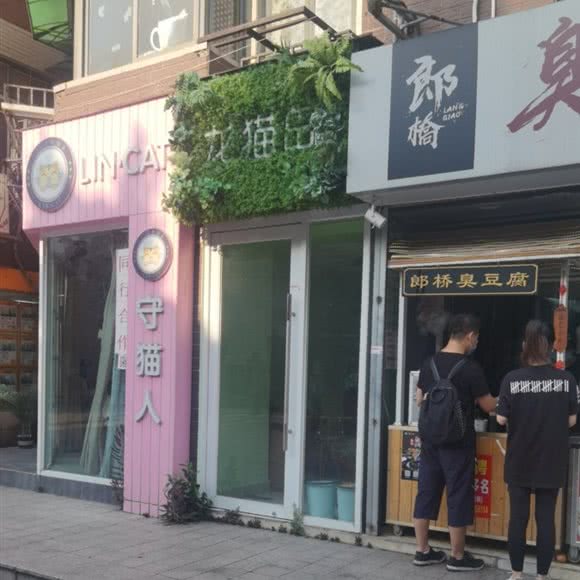 恐龙猫岛:广州市天河区天河城/体育中心附近
