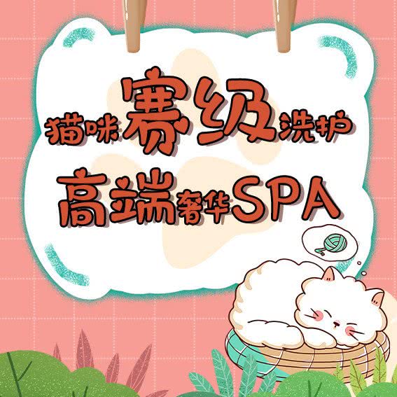 麻油寄养猫舍:广州市天河区珠江新城附近