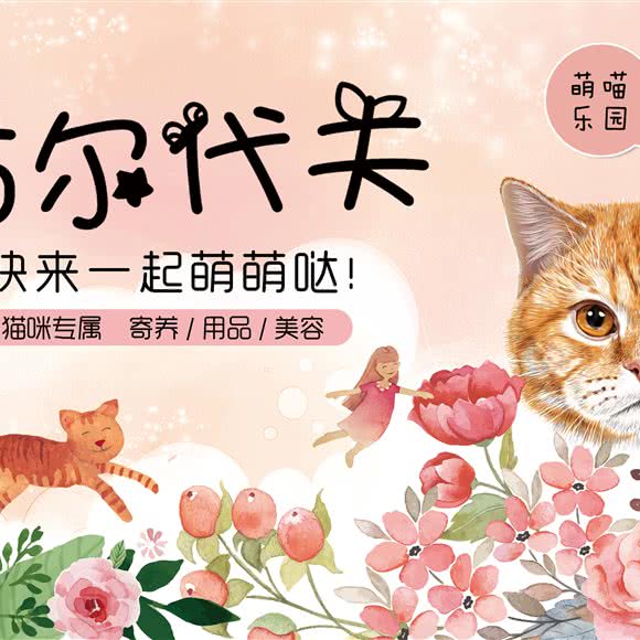 喵尔代夫猫咪生活馆:广州市天河区珠江新城附近