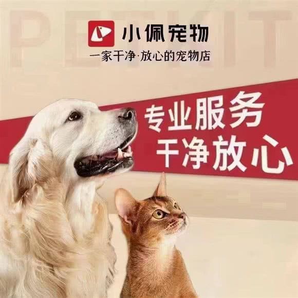 PETKET小佩宠物(龙口西路店):广州市天河区石牌/龙口附近