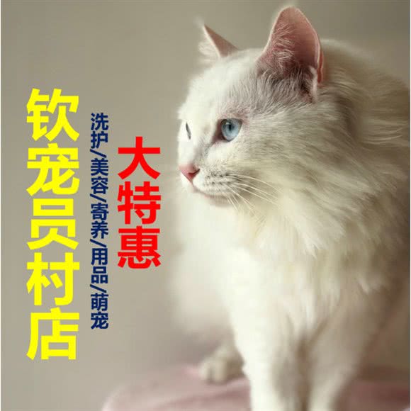 钦宠宠物馆(员村店):广州市天河区天河公园/上社附近