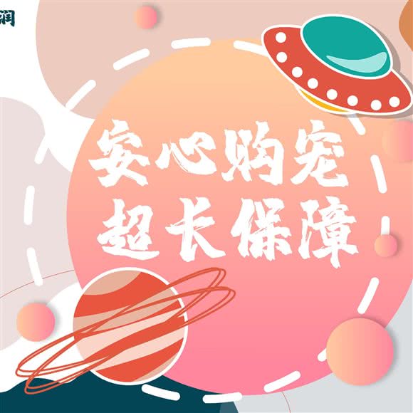 soulmate·猫肥家润:广州市天河区天河公园/上社附近