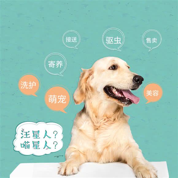 萌宠星球(车陂店):广州市天河区车陂/东圃附近