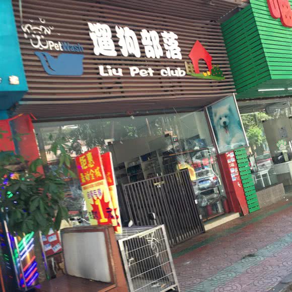 遛狗部落:广州市天河区车陂/东圃附近