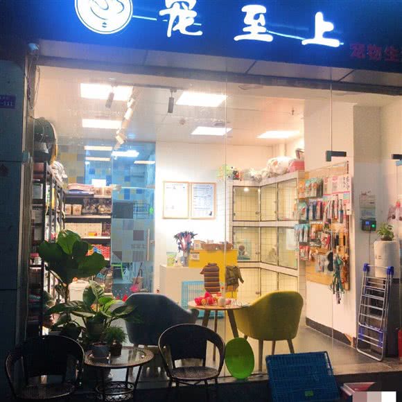 宠至上:广州市天河区车陂/东圃附近