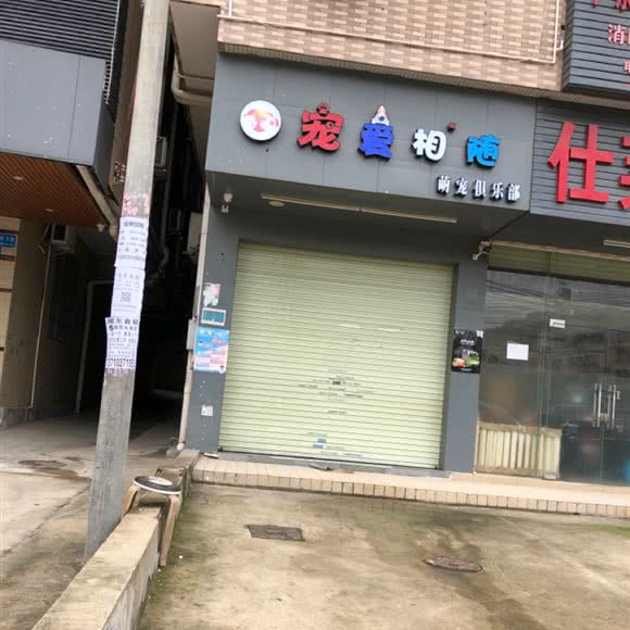 宠爱相随萌宠俱乐部:广州市天河区龙洞/岑村附近