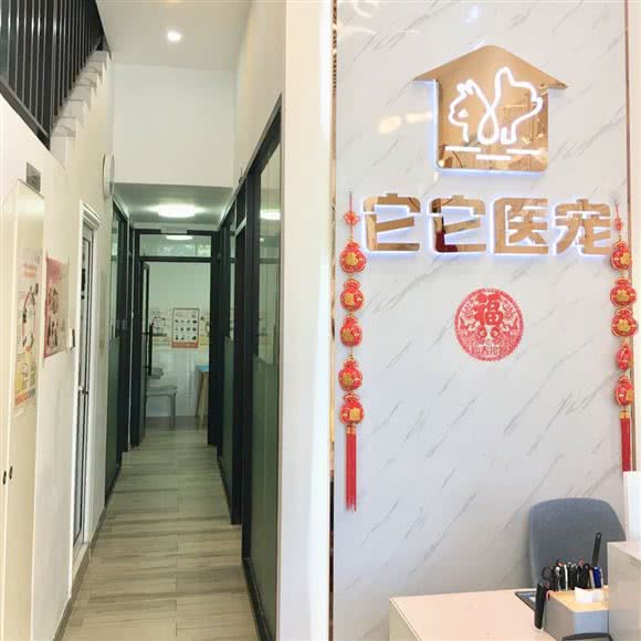 它它医宠:广州市天河区小新塘附近
