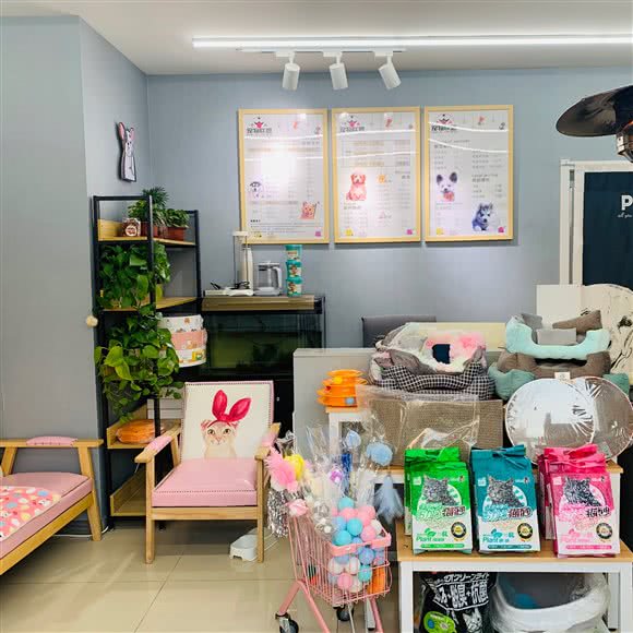宠物联盟宠物店:天津城区津南区双港附近
